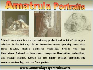 Pet Portrait Artist