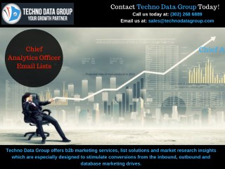 Chief Analytics Officer Email Lists | CAO Mailing Lists | CAO Email Database