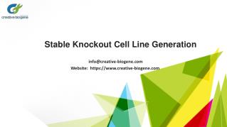 Cas9 Stable Cell Lines