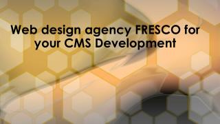 Web design agency FRESCO for your CMS Development