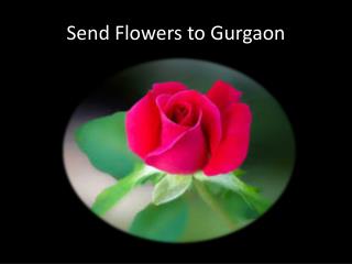 Send flowers to gurgaon