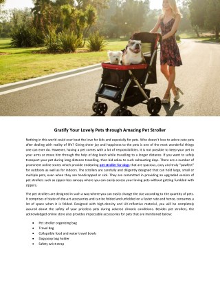 Gratify Your Lovely Pets through Amazing Pet Stroller