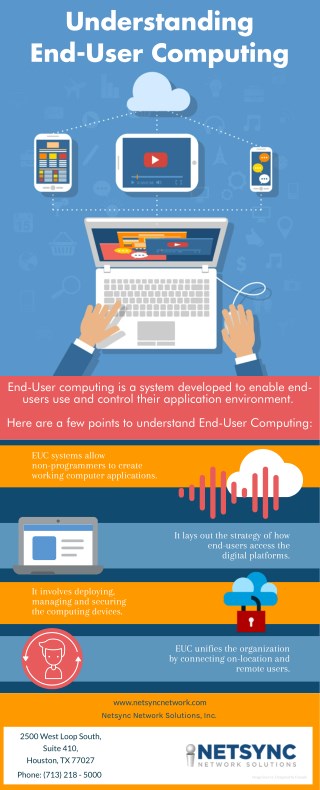 Understanding End-User Computing