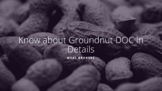 Know About Groundnut Doc in Details