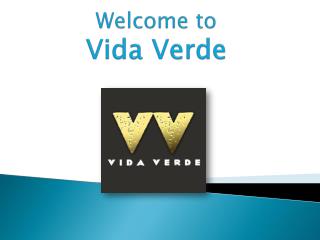 Mexican Inspired Outdoor & Rooftop Bar Midtown NYC | Vida Verde