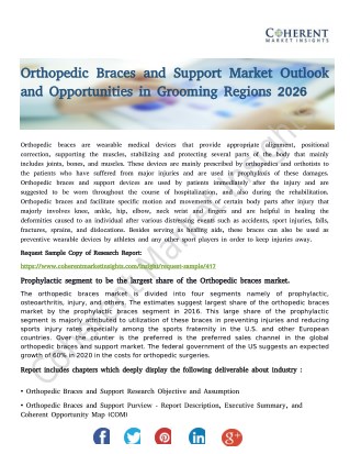 Orthopedic Braces and Support Market Outlook and Opportunities in Grooming Regions 2026