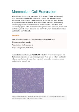 Mammalian Cell Expression