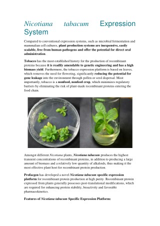 Nicotiana tabacum Expression System