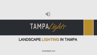 Best Landscape Lighting Installation - Tampa Lights