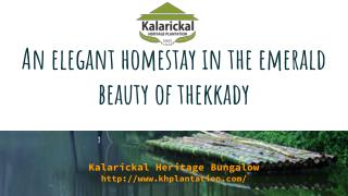 An Elegant Homestay In Thekkady