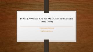 BIAM 570 Week 5 Lab Pay Off Matrix and Decision Trees DeVry