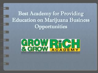 Best Academy for Providing Education on Marijuana Business Opportunities