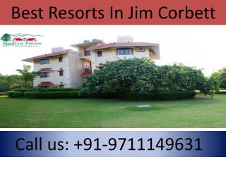 Best Resorts In Jim Corbett