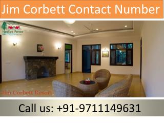 Jim Corbett Contact Number