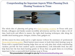 Comprehending the Important Aspects While Planning Duck Hunting Vacations in Texas