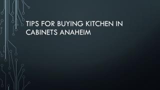 Tips For Buying Kitchen In Cabinets Anaheim