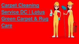 Carpet Cleaning Service DC | Lotus Green Carpet & Rug Care