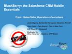 BlackBerry: the Salesforce CRM Mobile Essentials
