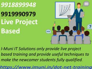 Obtain practical Knowledge In .NET Programming | Live Project Based