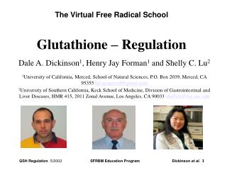 The Virtual Free Radical School Glutathione – Regulation