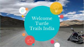 Yoga and Meditation | Turtle Trails