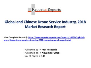 Global Drone Service Industry with a focus on the Chinese Market