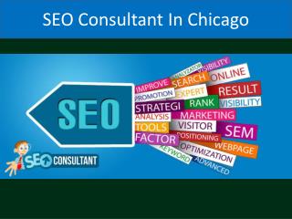 SEO Consultant In Chicago
