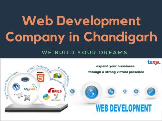 Web Development Company in Chandigarh