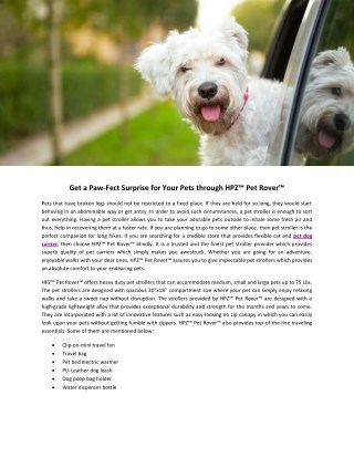 Get a Paw-Fect Surprise for Your Pets through HPZ™ Pet Rover™