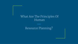What Are The Principles Of Human Resource Planning?