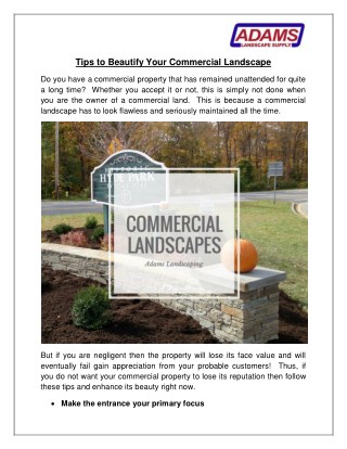 How You Can Beautify Your Commercial Landscape