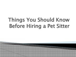 Things you should Know before Hiring a Pet Sitter