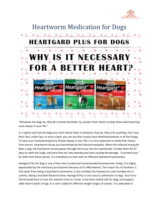 Heartworm Treatment for dogs