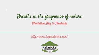 Plantation Stay In Thekkady