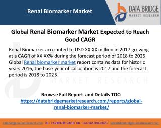 Renal Biomarker Market Type, Demand, Application, Current Scenario and Global Industry Analysis 2018-2025