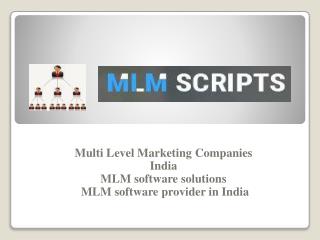 MLM software solutions - MLM software provider in India