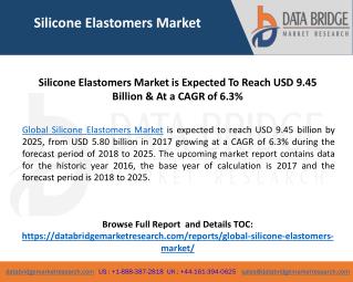Global Silicone Elastomers Market– Industry Trends and Forecast to 2025