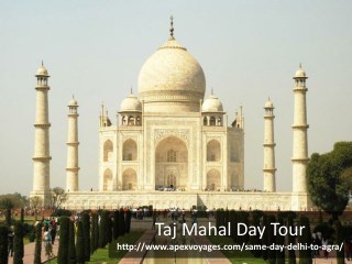 Taj Mahal Day Tour