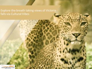 Explore the breath taking views of Victoria falls via Cultural Vibes