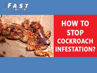 how-to-stop-cockroach-infestation