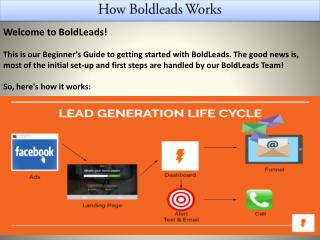How Boldleads Works