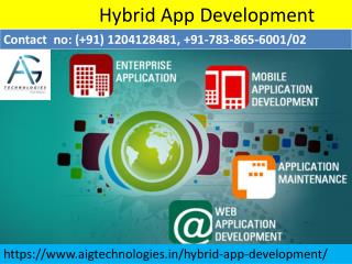 Hybrid App Development Company In India | Noida Delhi