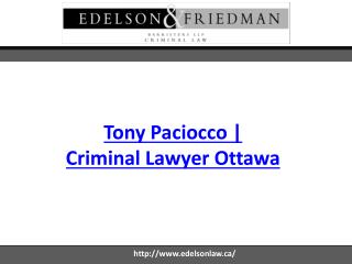 Tony Paciocco | Criminal Lawyer Ottawa