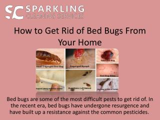 How to Get Rid of Bed Bugs From Your Home