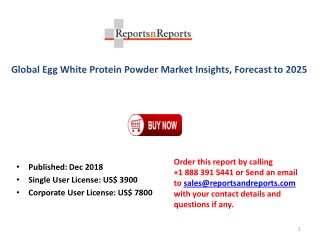 Egg White Protein Powder Industry Analysis on Top Key Players, Revenue Growth and Business Development Forecast 2025