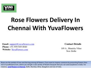 Rose Flowers Delivery In Chennai With YuvaFlowers
