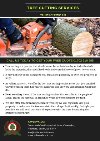 Tree Cutting Services - Valiant Arborist