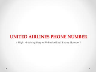 Dial the United Airlines Phone Number for Flight-booking and to Avail Great Air-fares