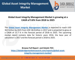 Global Asset Integrity Management Market – Industry Trends and Forecast to 2025
