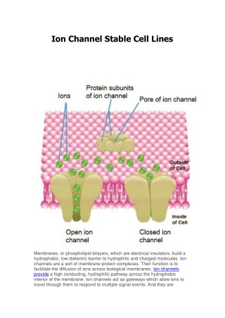 ion channel